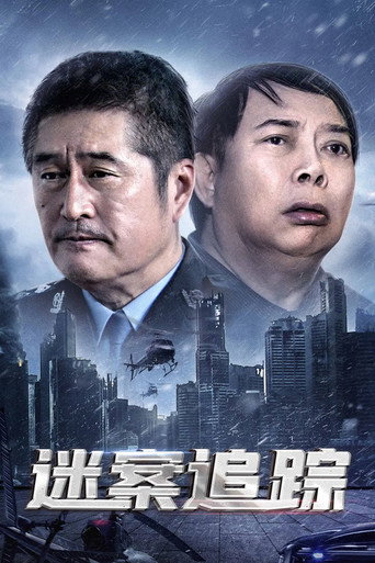 迷案追踪海报