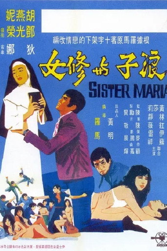 浪子与修女海报