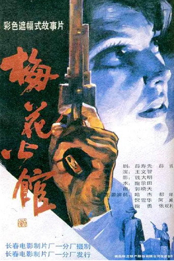 梅花公馆海报