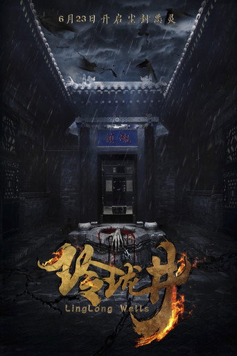 玲珑井海报