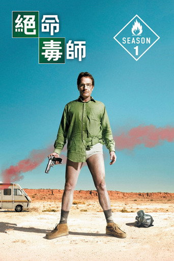 绝命毒师 第 1 季海报