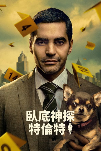 神探特伦特海报