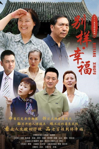 别样的幸福海报