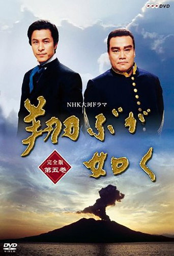宛如飞翔海报