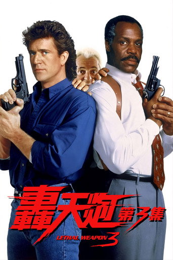 致命武器3海报