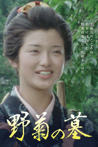 野菊之墓海报