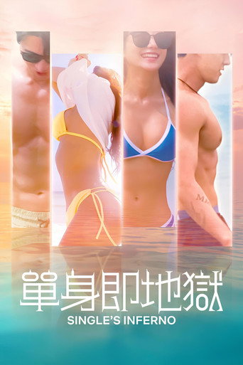 单身即地狱海报