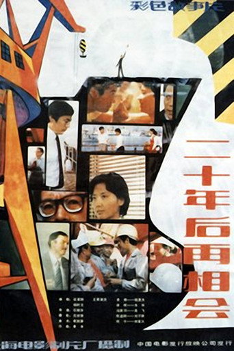 二十年后再相会海报
