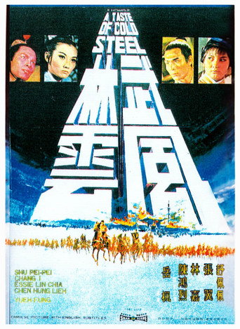 武林风云海报
