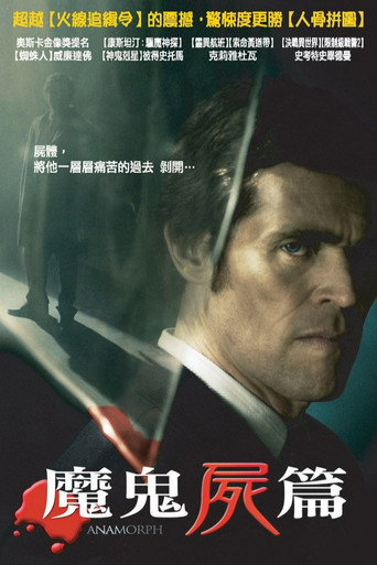 失真的画海报