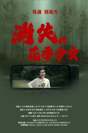 消失的花季少女海报