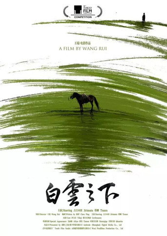 白云之下海报