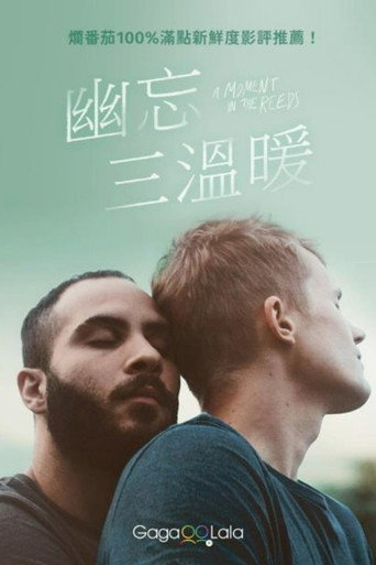 芦苇荡的时光海报