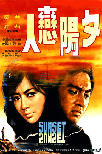 夕阳恋人海报