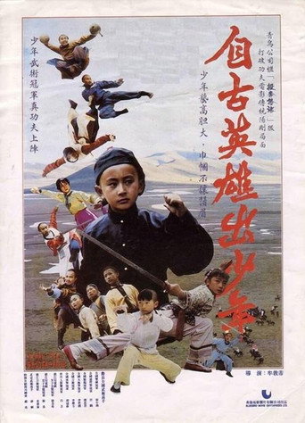 自古英雄出少年海报