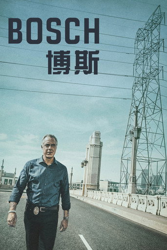 博斯海报