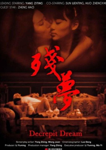 残梦海报