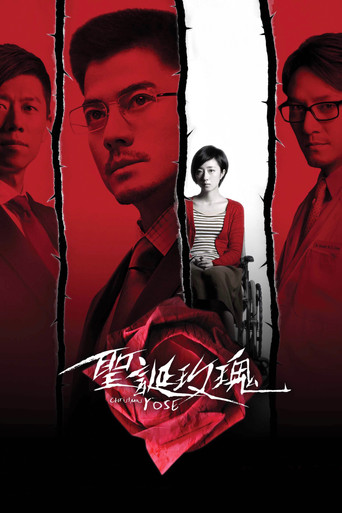 圣诞玫瑰海报