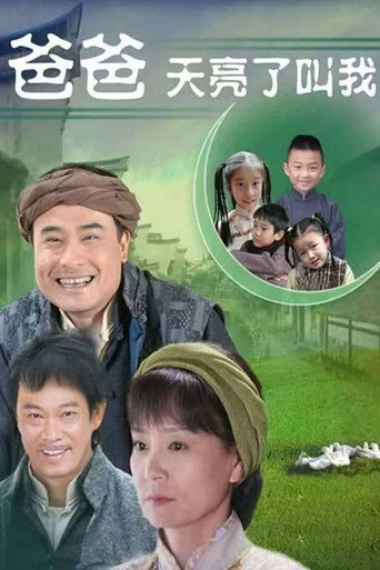 爸爸天亮叫我海报