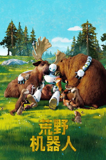 荒野机器人海报