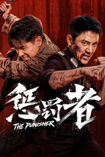 惩罚者海报