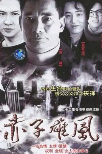 赤子雄风海报