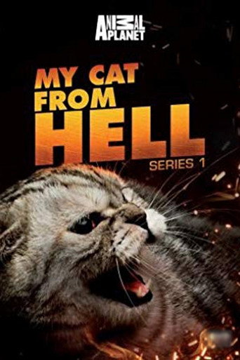 家有恶猫 第 1 季海报