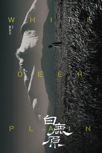 白鹿原海报