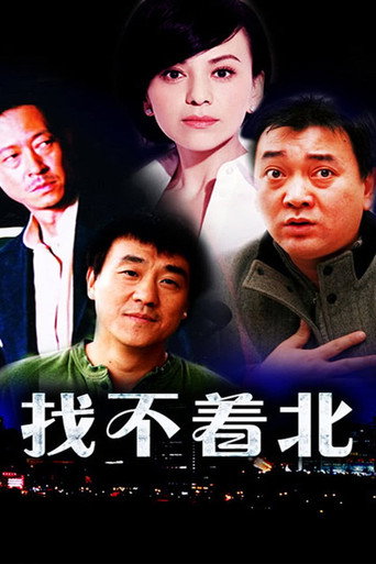 找不着北海报