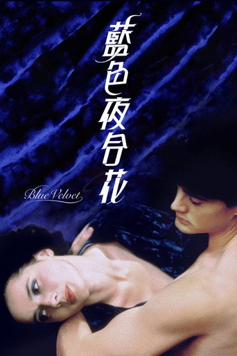 蓝丝绒海报