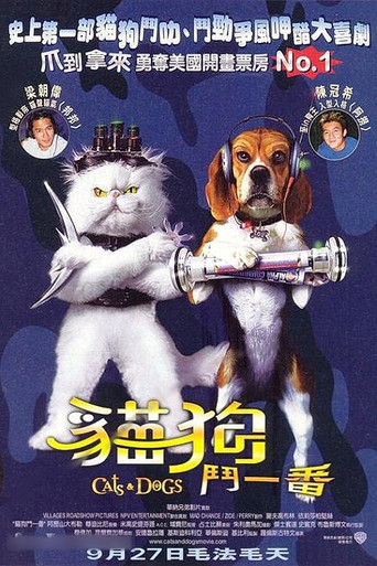猫狗大战海报