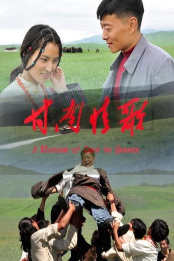 甘南情歌海报