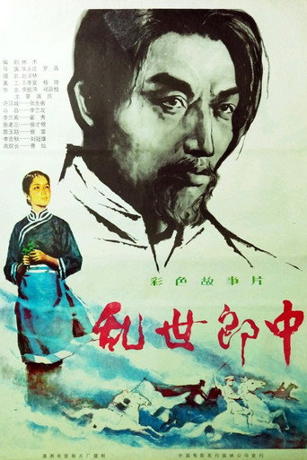 乱世郎中海报