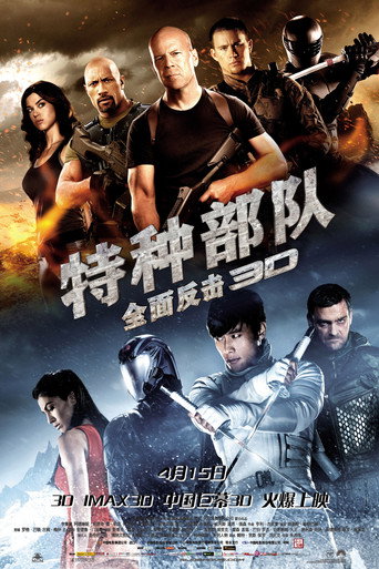 特种部队Ⅱ：全面反击海报