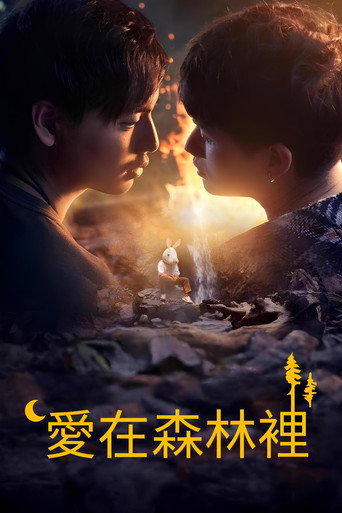 爱在森林里海报