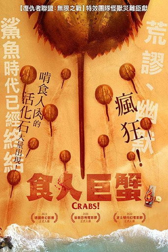 马蹄蟹海报