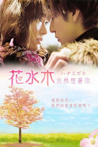 花水木海报