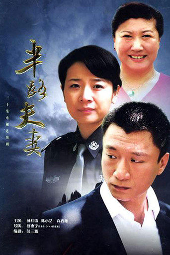 半路夫妻海报