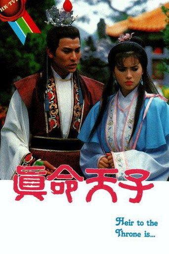 真命天子海报