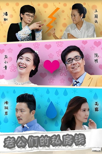 老公们的私房钱海报