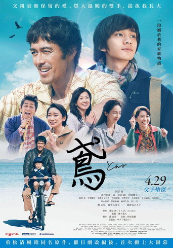 鸢海报