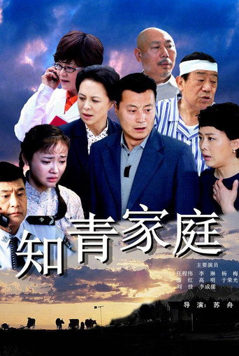 知青家庭海报