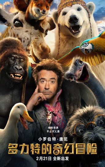 多力特的奇幻冒险海报