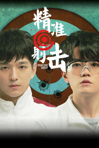 精准射击海报