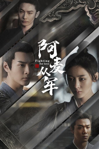 阿麦从军海报