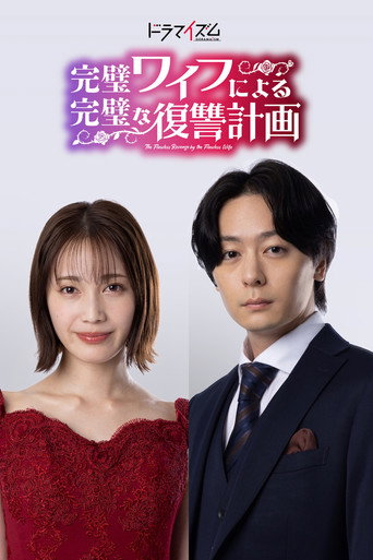 完美妻子的完美复仇计划海报