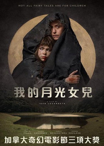 无尽的月海报