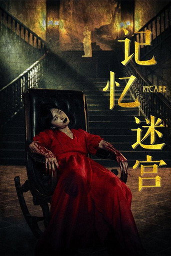 记忆迷宫海报