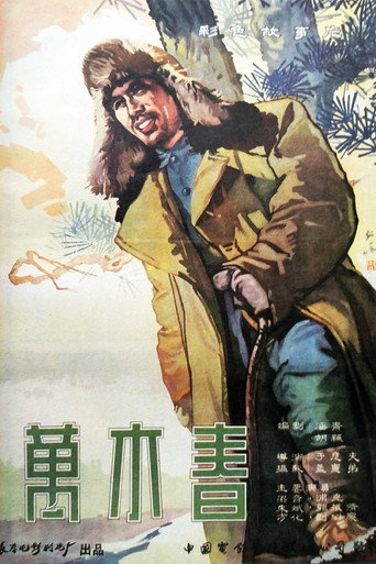 万木春海报