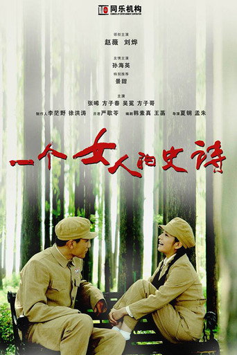 一个女人的史诗海报